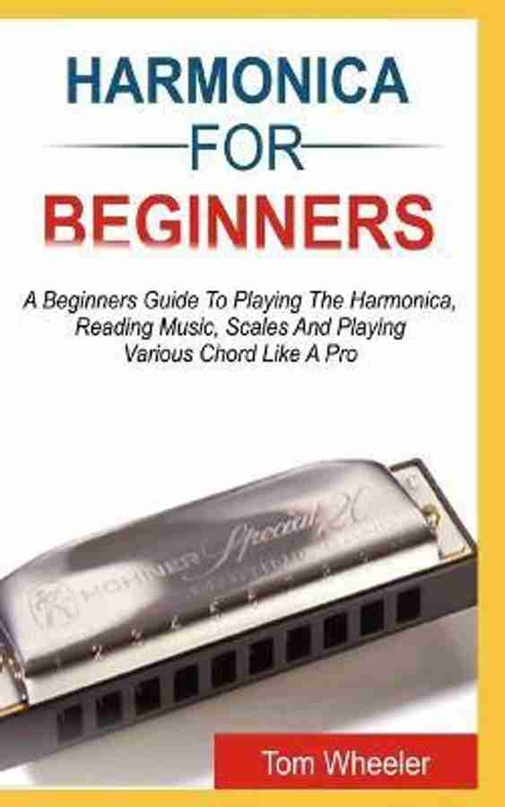 Harmonica store price flipkart