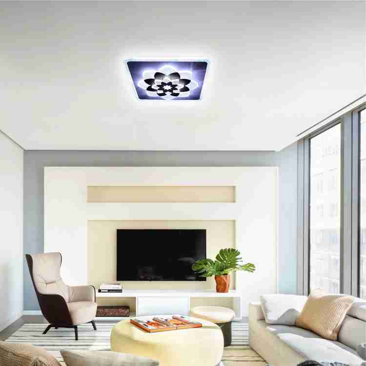 Center on sale ceiling light