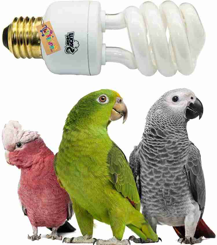 Uvb full spectrum light sales for birds