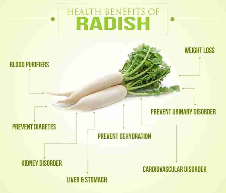 Radish juice for weight loss online