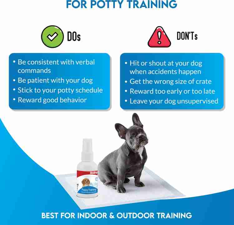 Bioline puppy training spray outlet