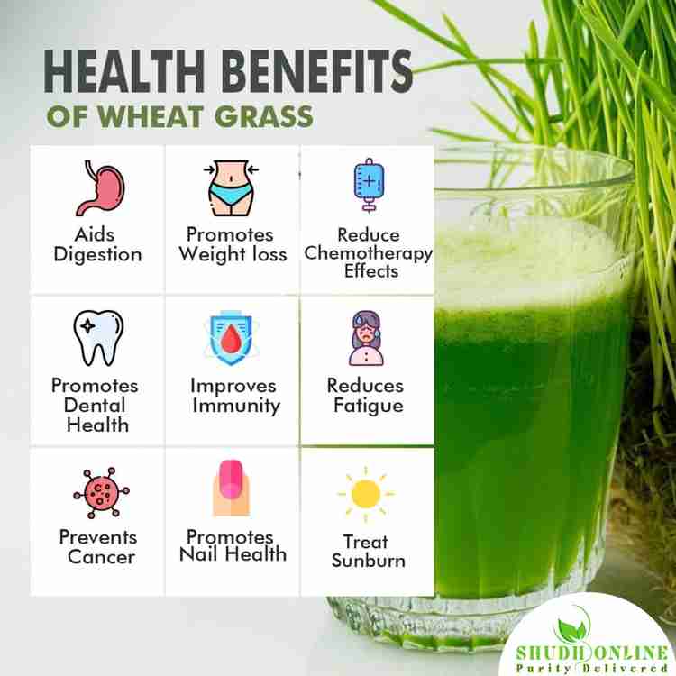 Wheatgrass shot health benefits outlet