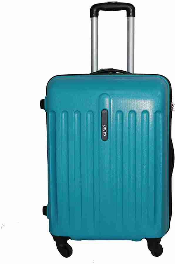 Delta best sale luggage price