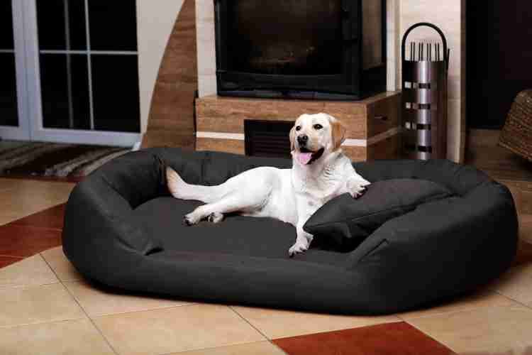 Royals Rore Dog bed XXXL Pet Bed Price in India Buy Royals Rore Dog bed XXXL Pet Bed online at Flipkart