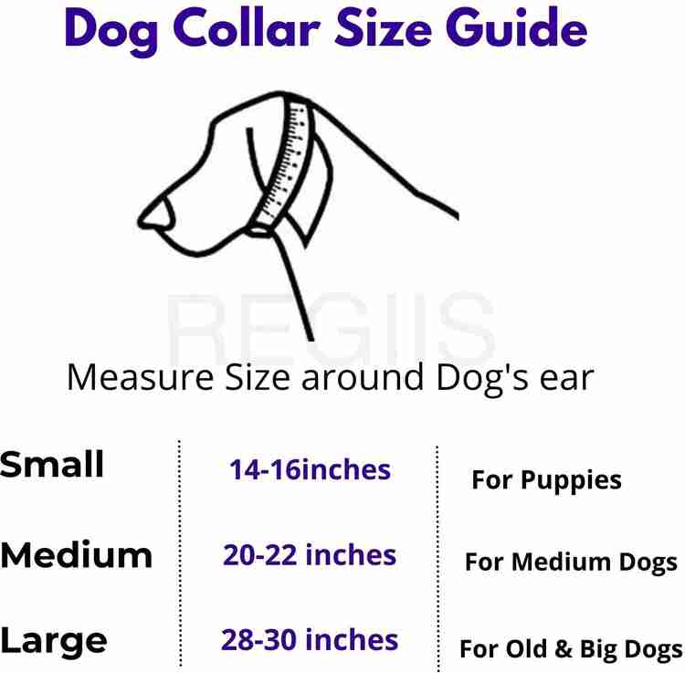 Dog collar discount medium size