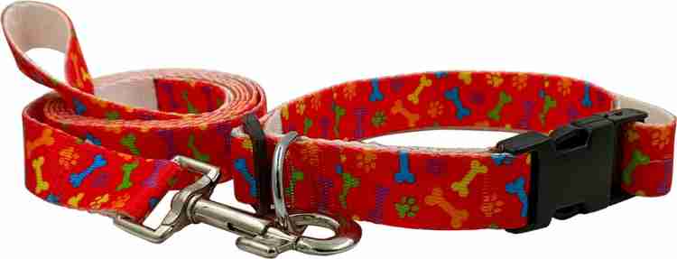 Jainsons Pet Products Dog Collar and Leash Set, Nylon Leash and Collar for  Dog Puppy Cat (1 inch) Dog Collar & Leash