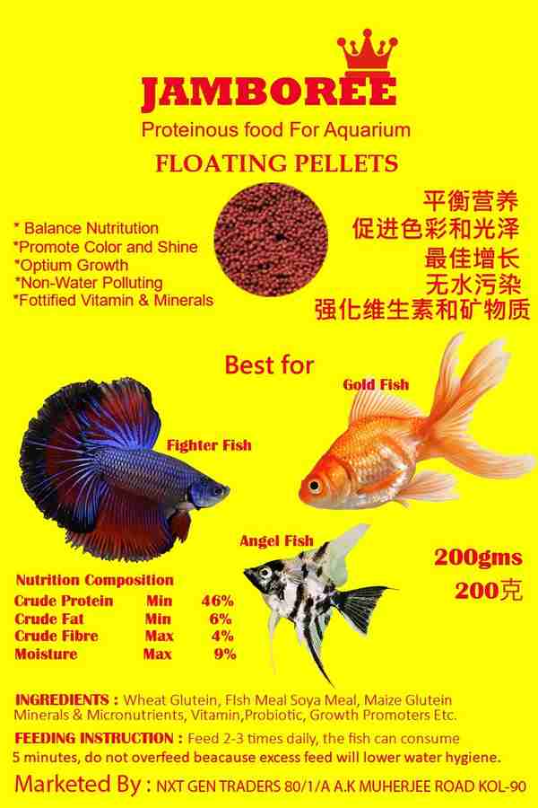 Angel fish food sales