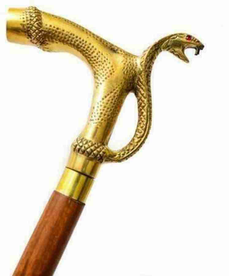 Anaconda walking best sale pole
