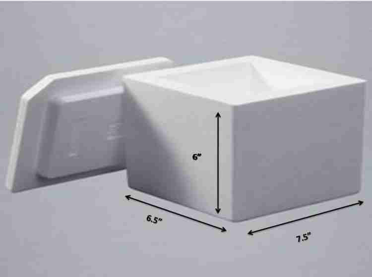 Thermocol ice box sales flipkart