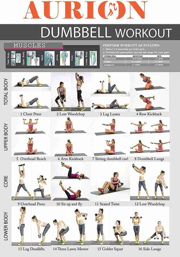 6kg dumbbell exercises online