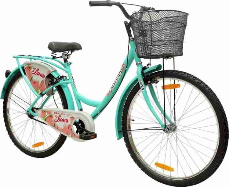 Ladybird 2024 dreamz cycle