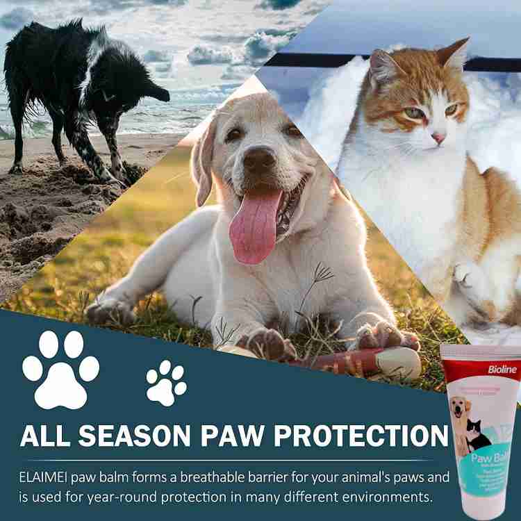 Dog paw conditioner hotsell