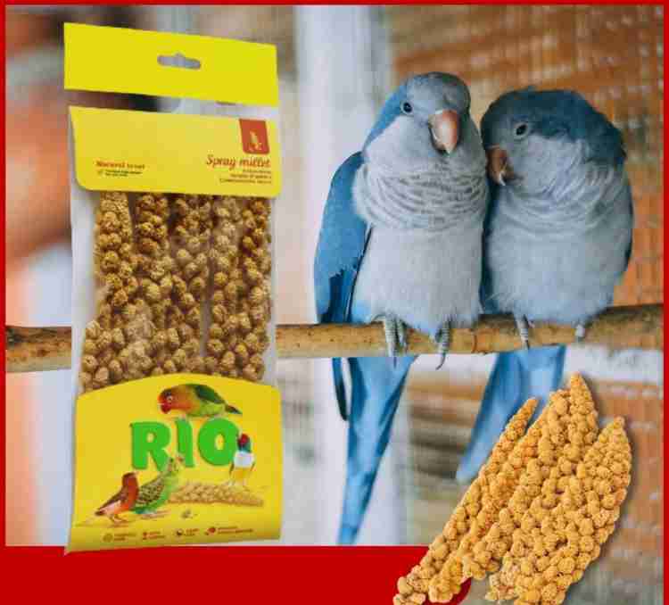 Millet spray outlet for budgies