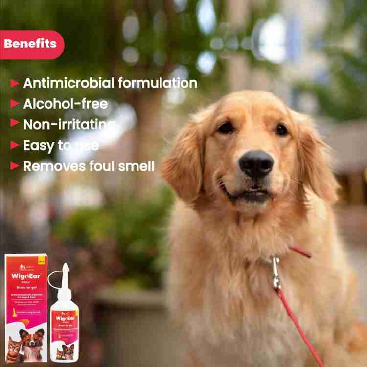 Golden retriever ear cleaning solution sale