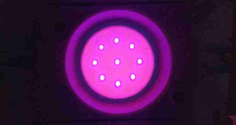 Wangsales Pink Motorcycle Underglow PATCH LIGHTS Front Rear
