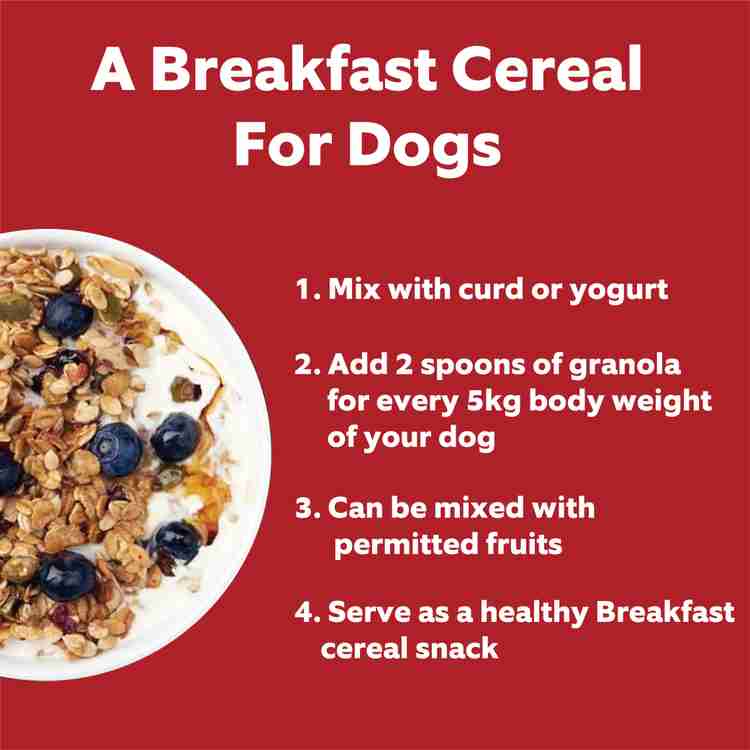 Can dogs have granola outlet