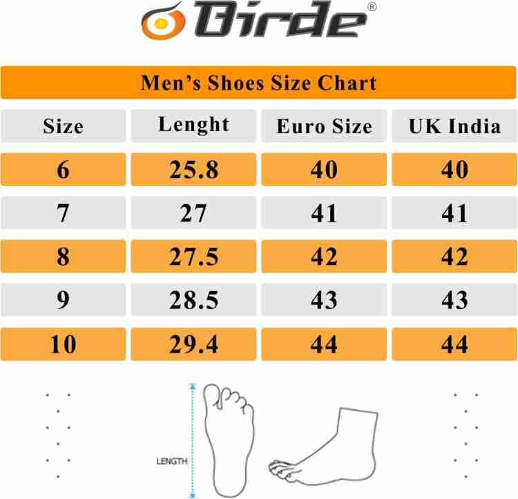 champion sneakers size chart