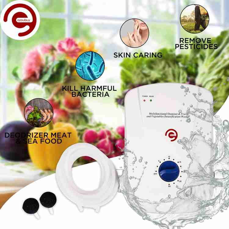Vegetable ozonizer store