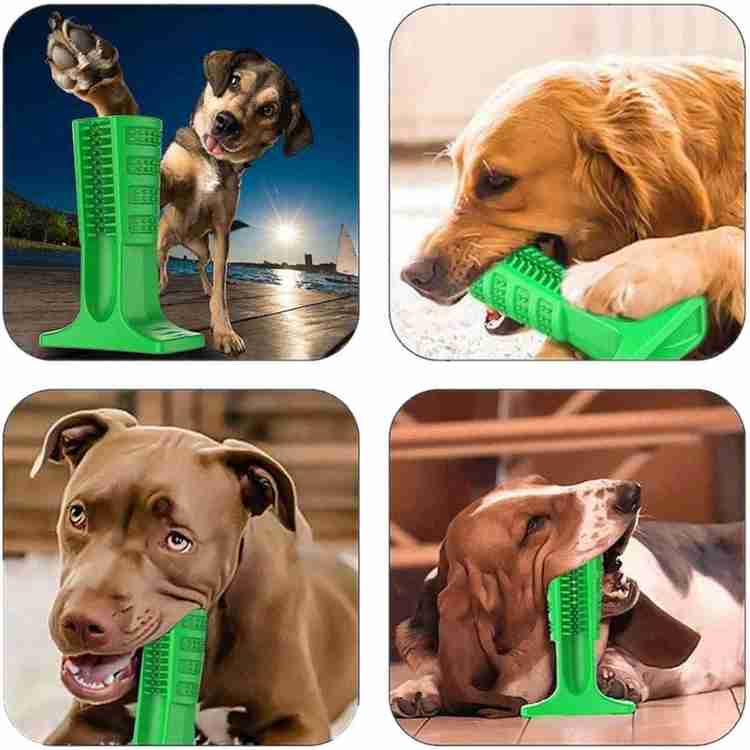 Dog teeth brushing toy shop
