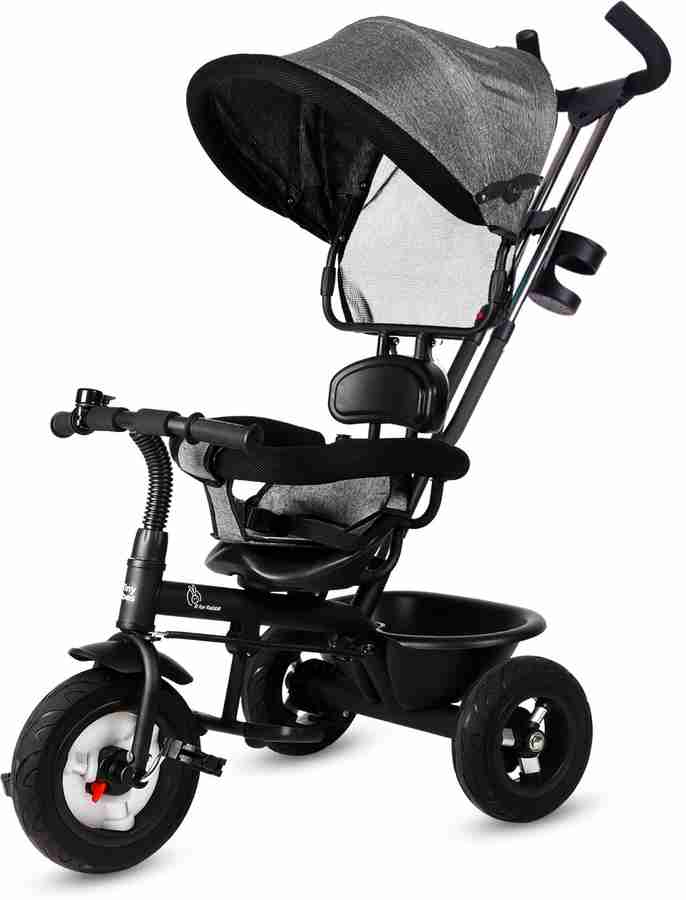 R for rabbit tricycle price 2025