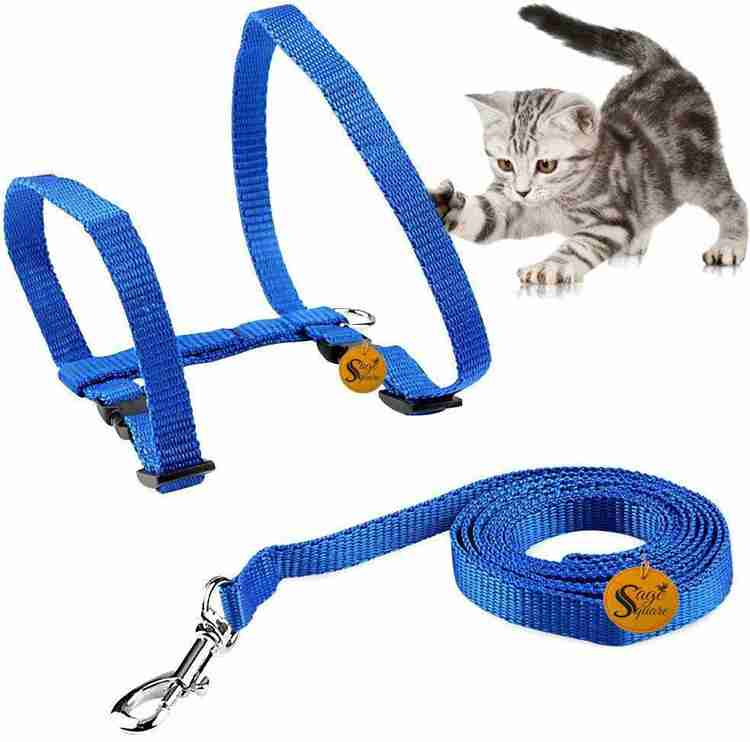Sage Square Durable Adjustable Harness with Leash Rope Set for Cat Blue Cat Harness Leash Price in India Buy Sage Square Durable Adjustable Harness with Leash Rope Set