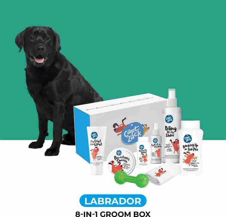 Captain Zack The Labrador Groom Box Pet Spa Kit Price in India Buy Captain Zack The Labrador Groom Box Pet Spa Kit online at Flipkart