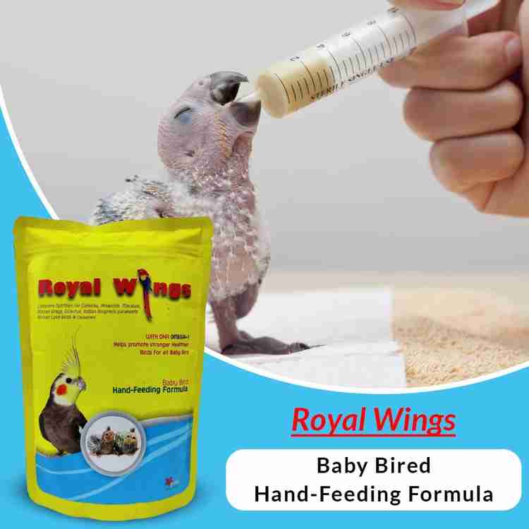 Feeding baby birds cat food shop