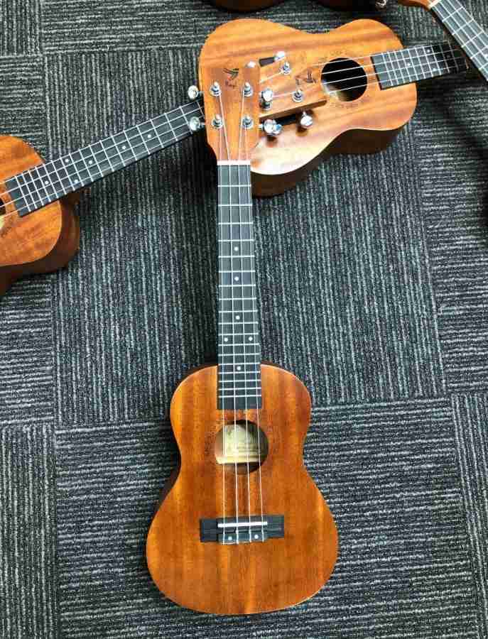 Flipkart ukulele deals