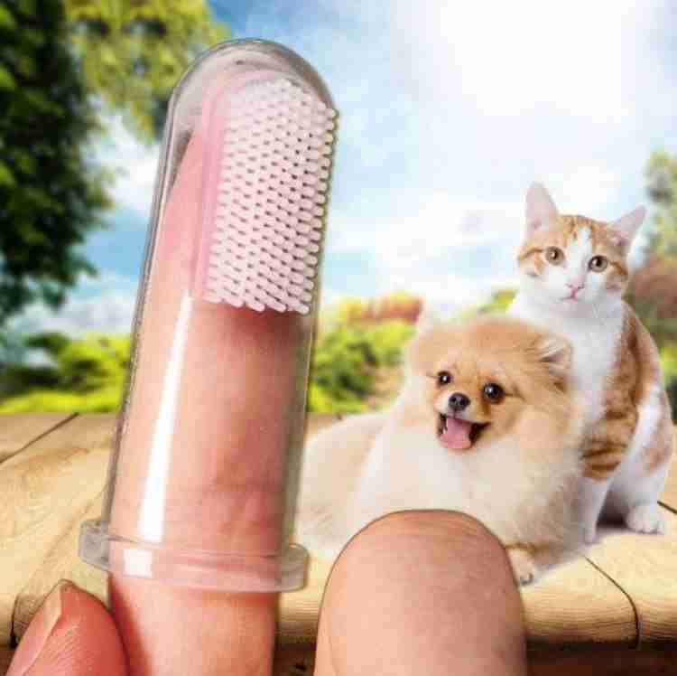 Cat finger toothbrush store