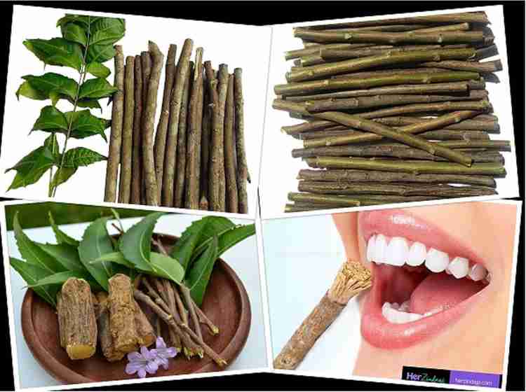 MITHO Ayurvedic Organic Neem Sticks Neem Datun Twig Tooth Brush Medium Toothbrush Buy Baby Care Products in India Flipkart