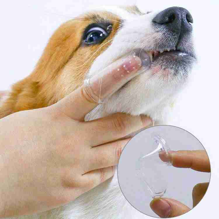 Finger brush for outlet dogs