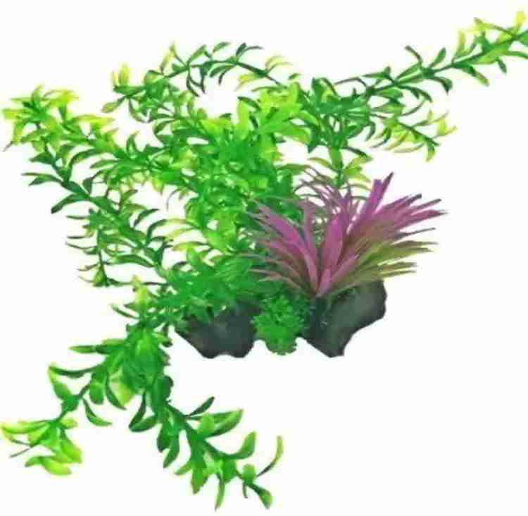 Kapoor Enterprise PNT05 Aquarium Plant Aquarium Plant Anchor Plant Anchors1 Aquarium Plant Anchor Price in India Buy Kapoor Enterprise PNT05 Aquarium Plant Aquarium Plant Anchor Plant Anchors1 Aquariu...