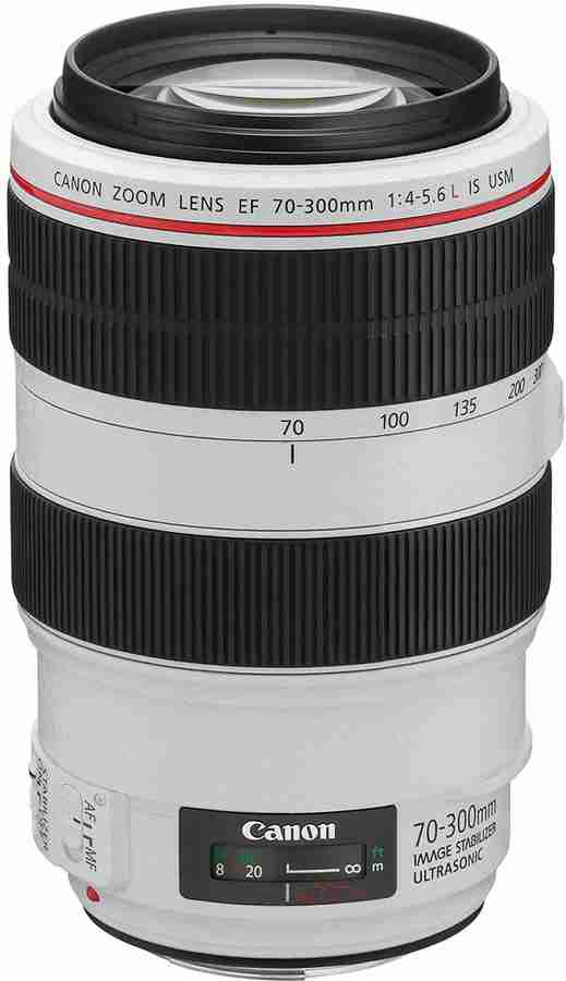 Canon EF 70 - 300 mm f/4-5.6L IS USM Telephoto Zoom Lens - Canon  