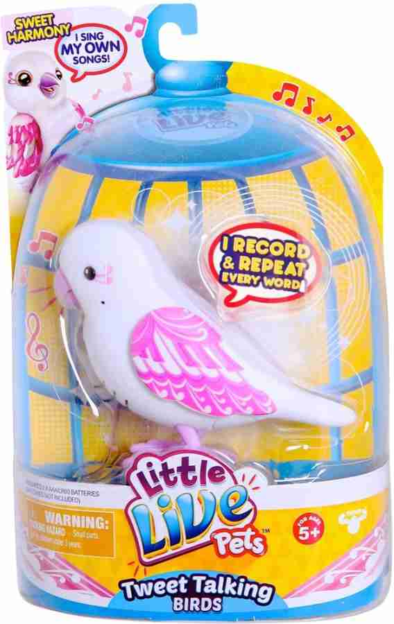 Little Live Pets Bird SWEET HARMONY Bird SWEET HARMONY Buy Birds toys in India. shop for Little Live Pets products in India. Flipkart