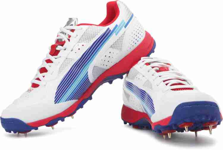 Puma hotsell evospeed cricket