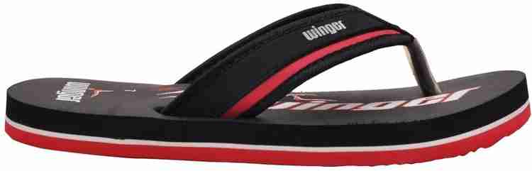 Winger slippers on sale