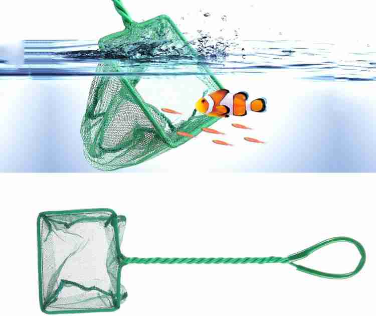 HOIVA (PACK OF 5) Lightweight Fish Net for Catching &Releasing Fish Net for  Fish Tank Aquarium Fish Net Price in India - Buy HOIVA (PACK OF 5)  Lightweight Fish Net for Catching