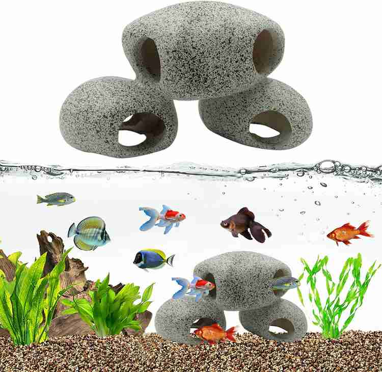 Fish rock aquarium best sale