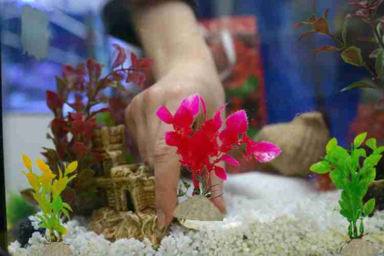 Fish tank house online decoration