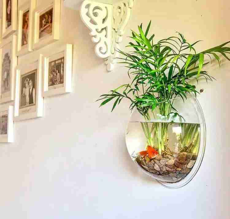 Mistletoe Wall Hanging Fish Bowl Wall Mounted Plant Pot for Fish I Plant Wall Decor Round Ends Aquarium Tank Price in India Buy Mistletoe Wall Hanging Fish Bowl Wall Mounted Plant
