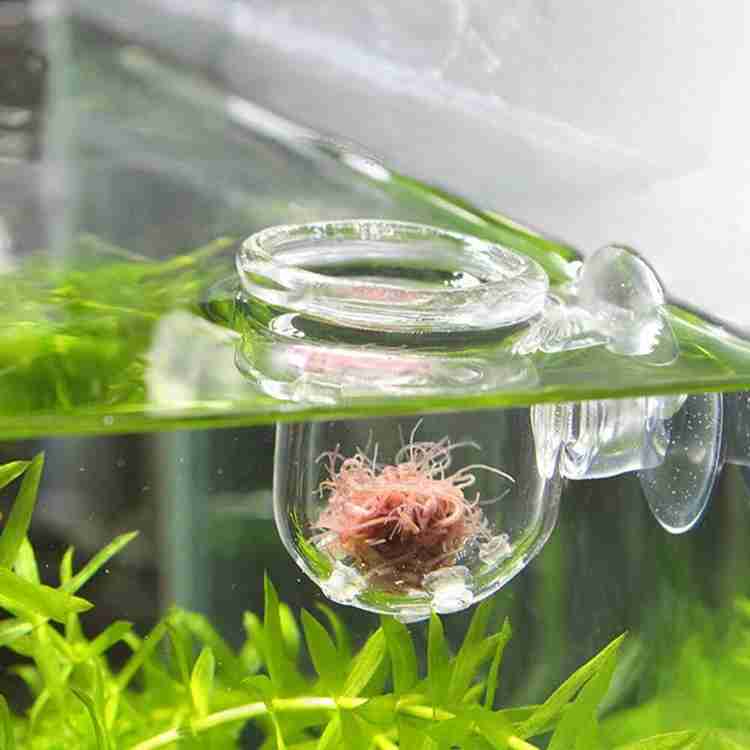 Live fish food worms top