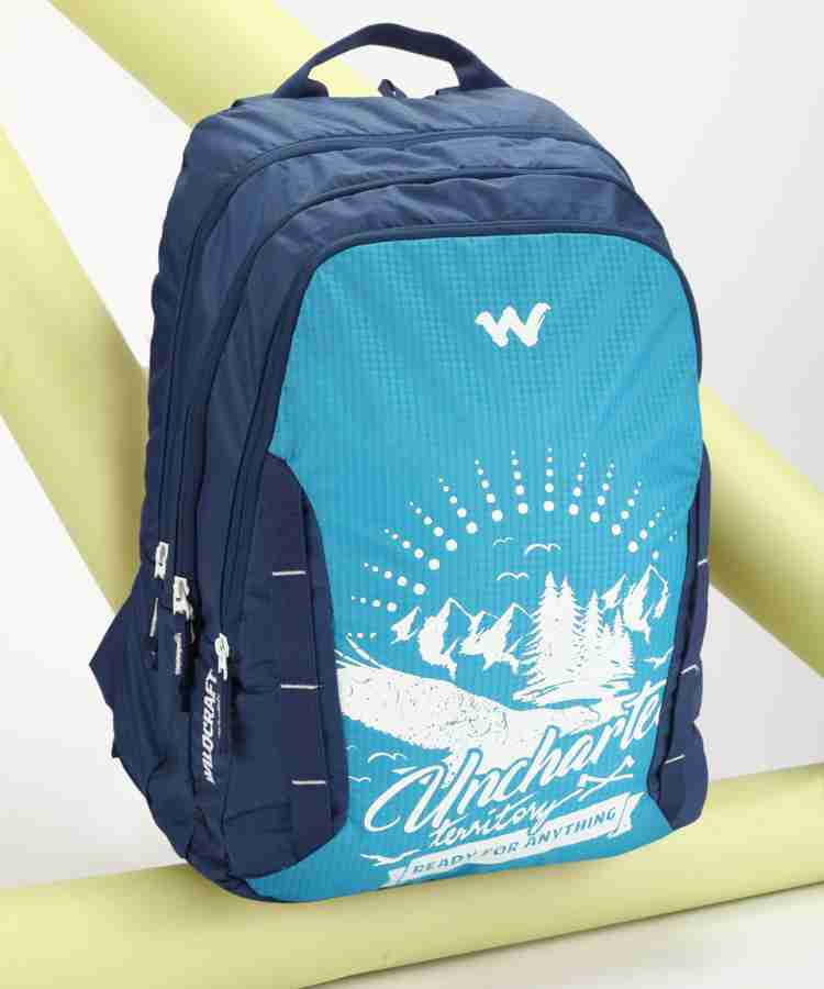 Wildcraft WC 6 Wild 44 L Laptop Backpack Badge Blu Price in India Flipkart