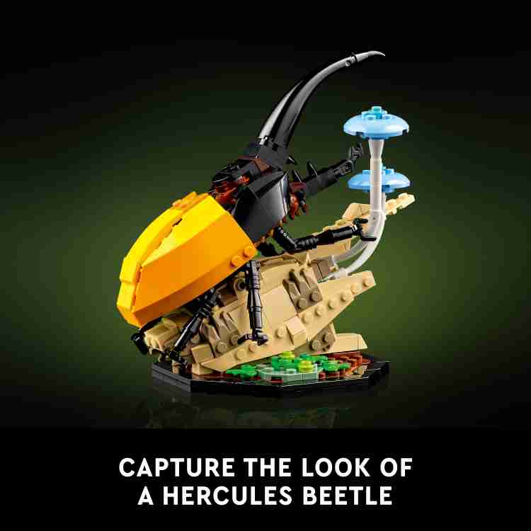 LEGO Ideas The Insect Collection 21342 Building Set for Adults 