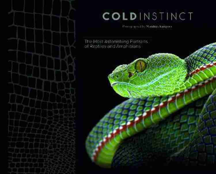 cold-instinct-original- 