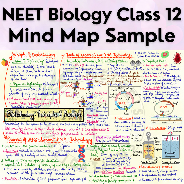 在庫一掃セール売れ筋ランキング Class Biology for Maps Mind 12 NEET - UG NEET - Preparation 地図