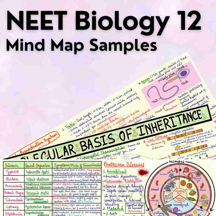 新着 12 Class Biology for Maps Mind Preparation NEET - UG NEET - 地図