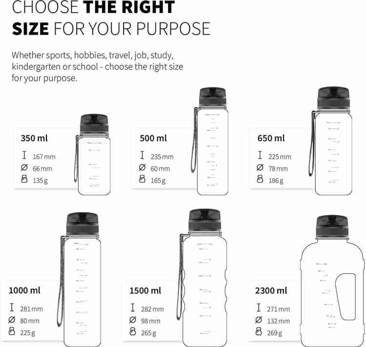 720°DGREE Tritan Fruit Infuser BPA Free Water Bottle 650ml for Gym
