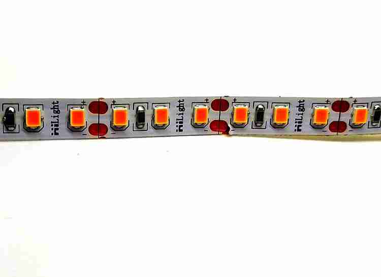 LED strip PREMIUM 12V DC, typ diodes 2835, IP20, 5mm - Design Light Sp z  o.o.