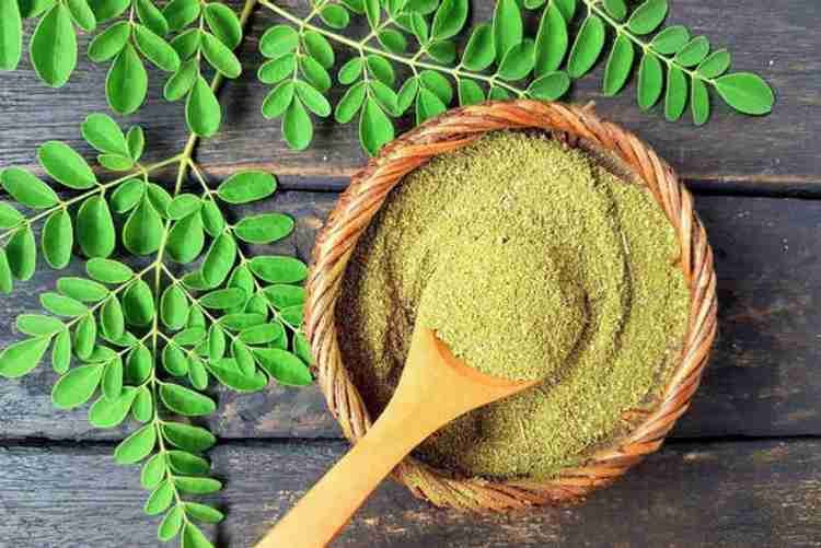 Moringa powder benefits for hair outlet