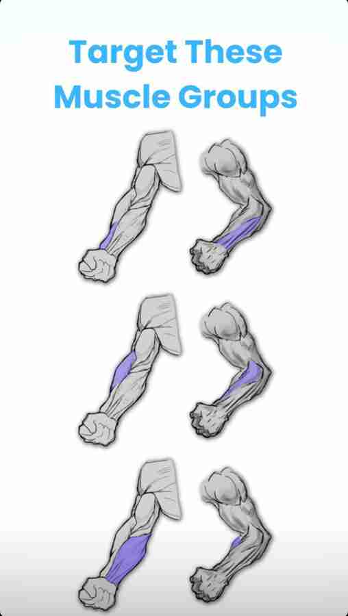 Hand grip target muscles 2025